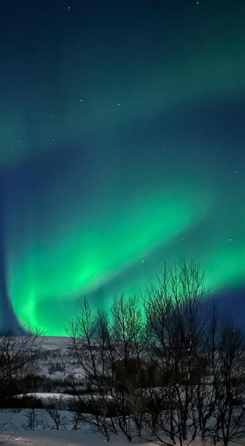 Tromsdalen Aurora Lejlighed *